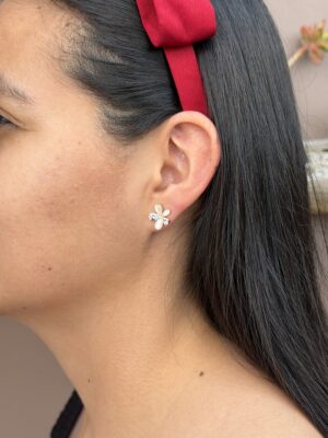 aretes 12