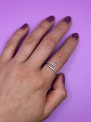 anillo 11
