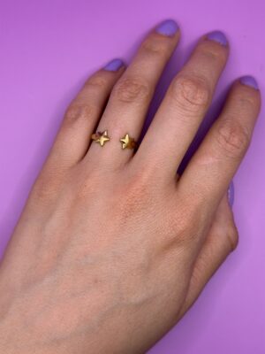 anillo 7