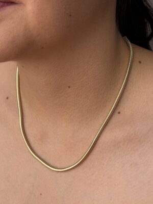 collar 1