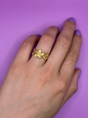 anillo 6