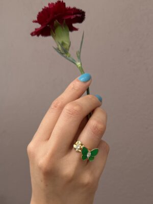 anillo 1