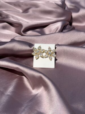 aretes 25