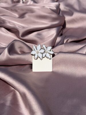 aretes 27
