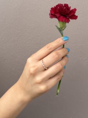 anillo 4