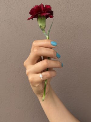anillo 2