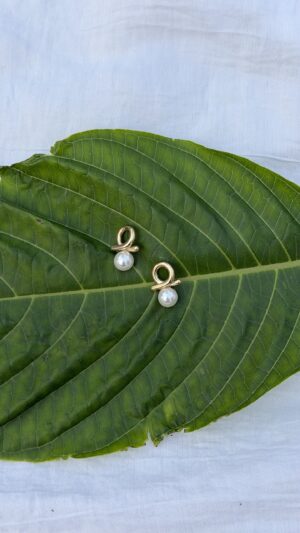 aretes 42