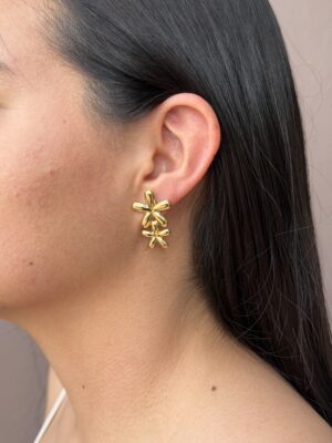 aretes 44