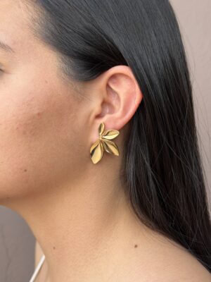 aretes 47