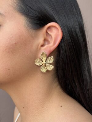 aretes 52