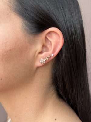 aretes 56