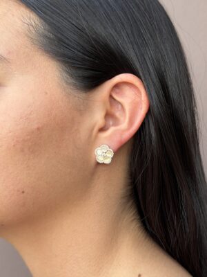 aretes 57