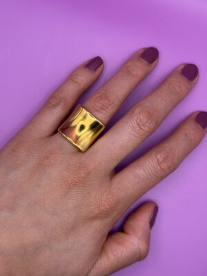 anillo 17