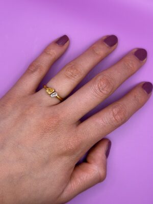anillo 18