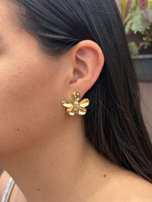aretes 66