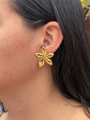 aretes 60